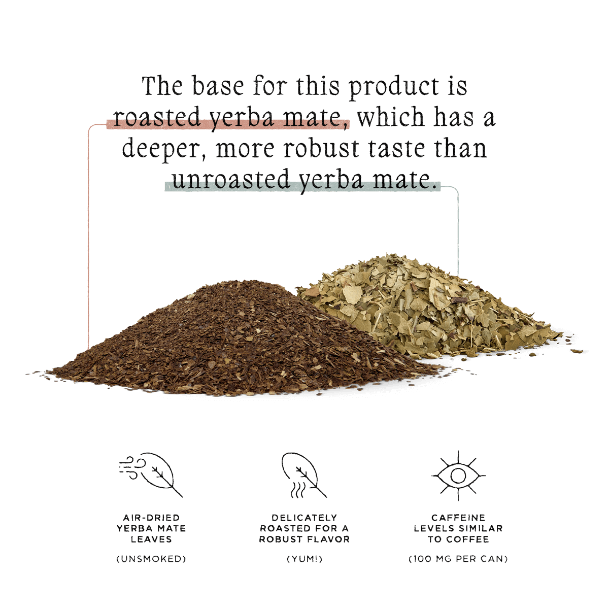 Organic Nitro Mocha Yerba Mate Single Can