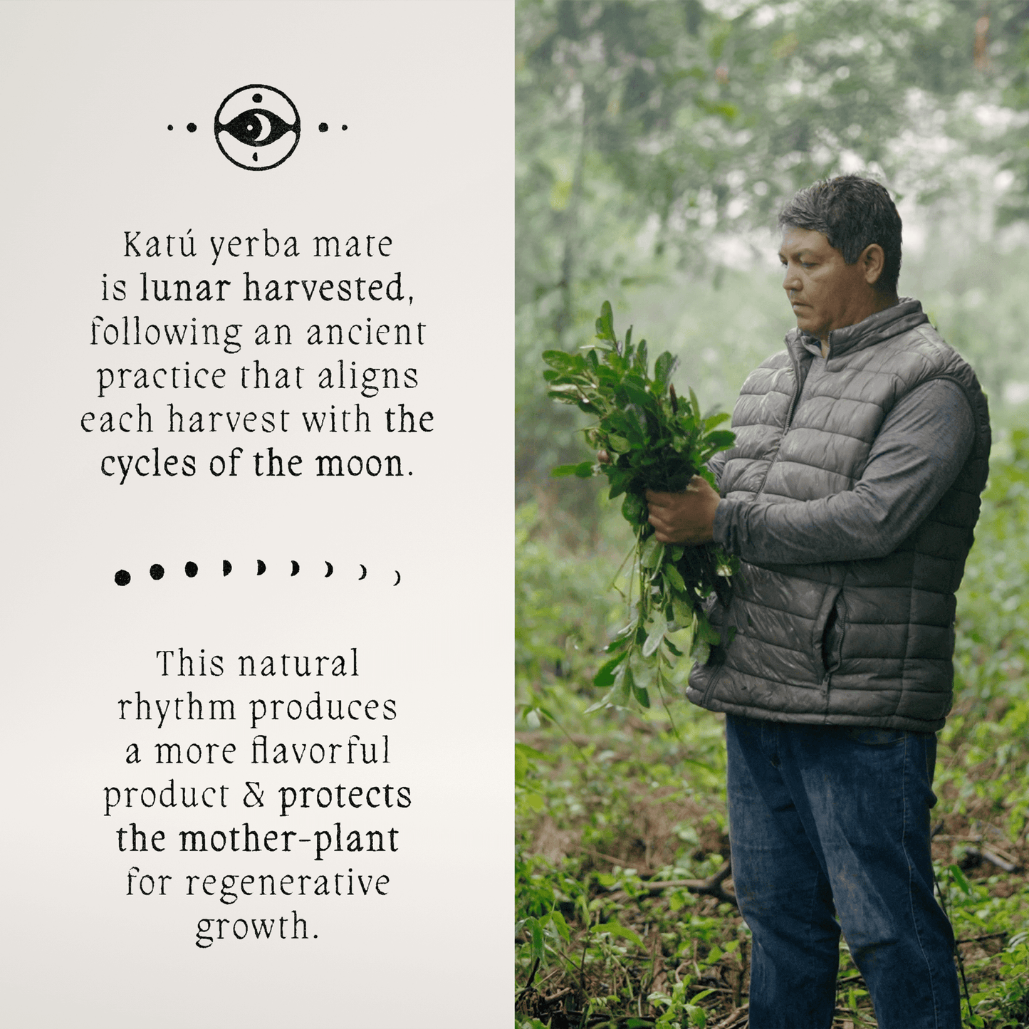 Ka’a Raw Yerba Mate Tea Bags (15 Sachets)